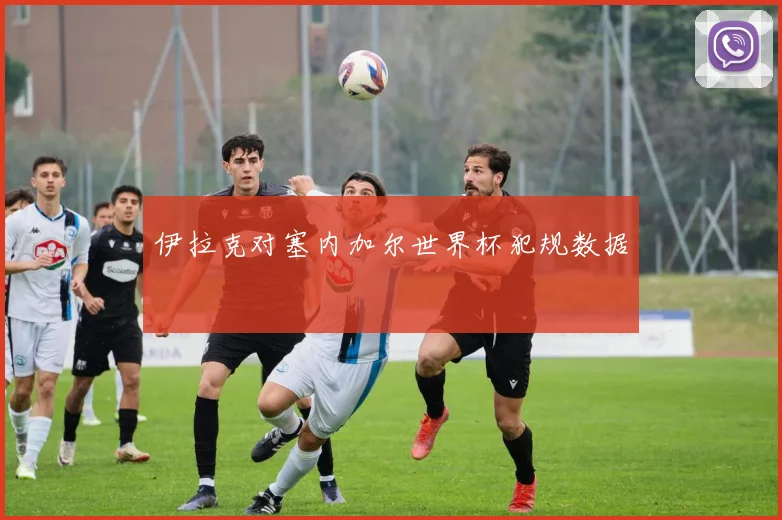 伊拉克对塞内加尔世界杯犯规数据