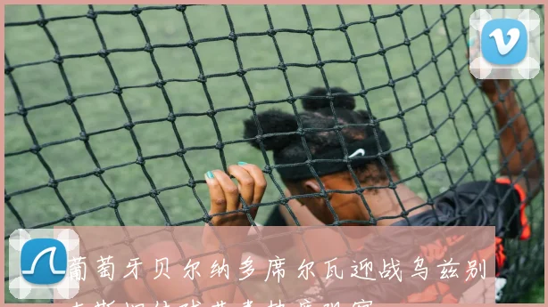 葡萄牙贝尔纳多席尔瓦迎战乌兹别克斯坦传球节奏热度观察