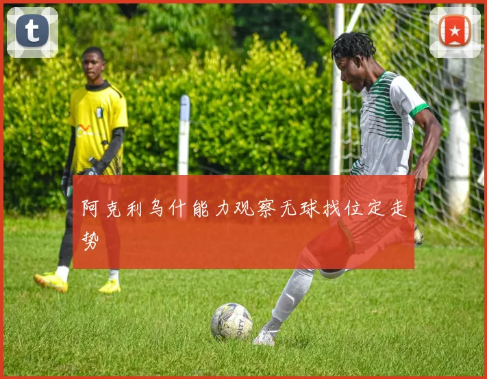 阿克利乌什能力观察无球找位定走势