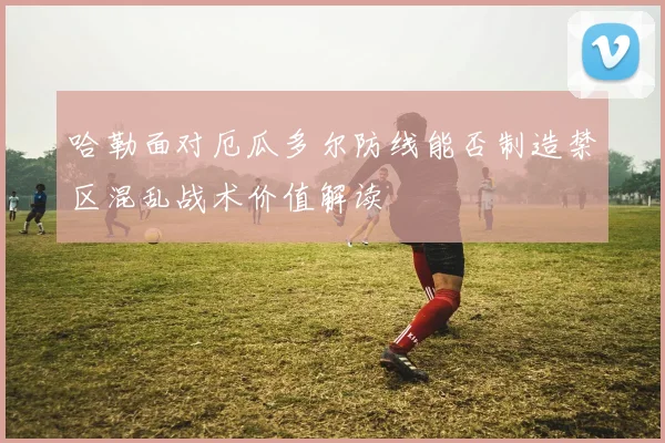哈勒面对厄瓜多尔防线能否制造禁区混乱战术价值解读