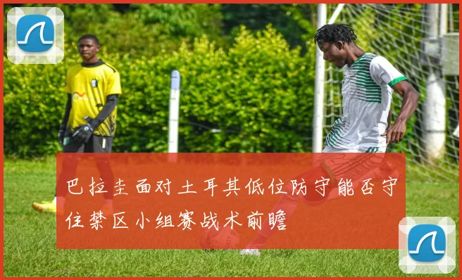 巴拉圭面对土耳其低位防守能否守住禁区小组赛战术前瞻